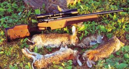 Sako P94S Range Rimfire - page 89 Issue 27